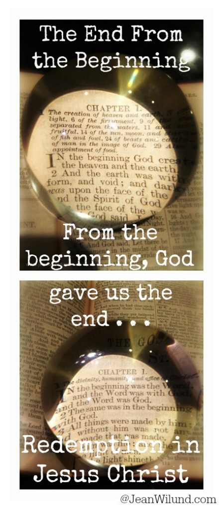 Click to read: The End From the Beginning ~ In the beginning God gives us the end . . . Redemption in Jesus Christ!
