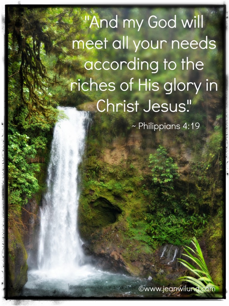 "And my God will meet all your needs according to the riches of His glory in Christ Jesus." ~ Philippians 4:19 Photo by Jean Wilund in Costa Rica