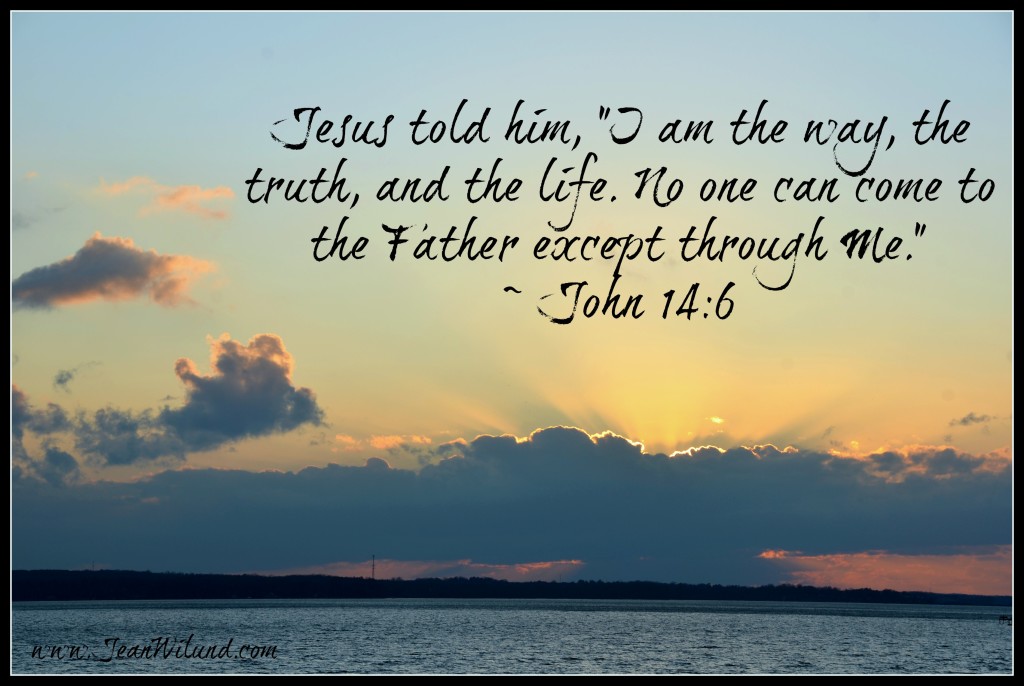 I am the way, the truth, and the life. No one comes to the Father except through Me. ~ Jesus