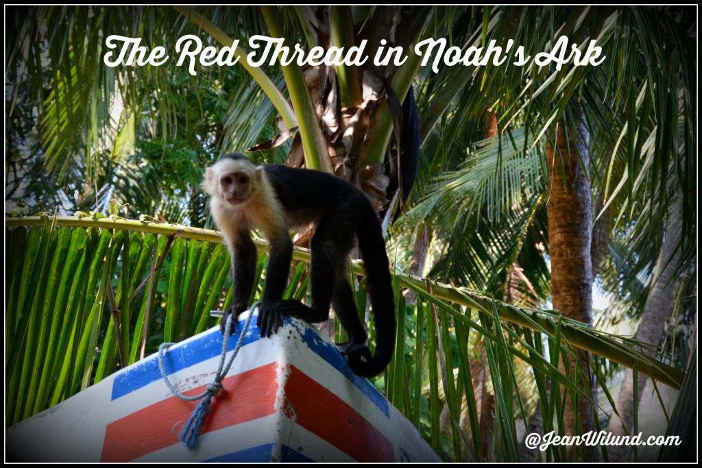 Click to Read: Discover Jesus Christ in Noah's Ark -- The Work (The Red Thread)