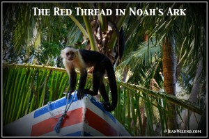 The Red Thread in Noah's Ark -- The Work