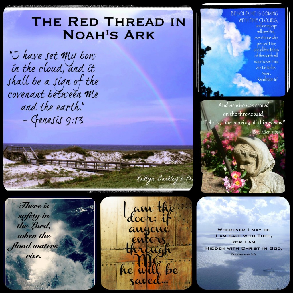 The Red Thread in Noah's Ark -- The Summary