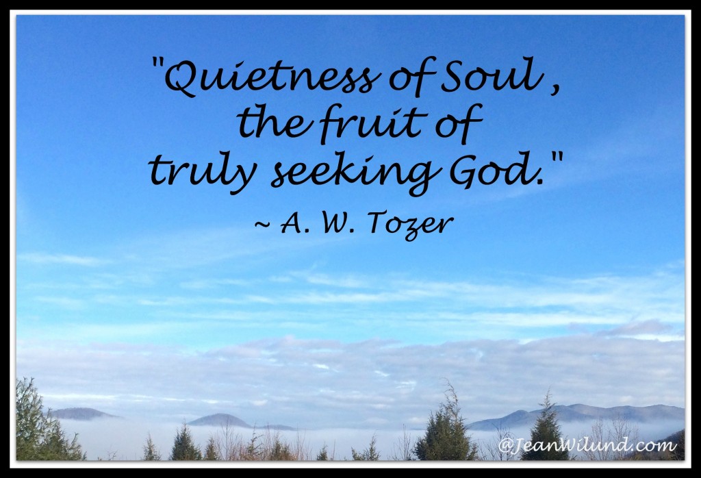 "Quietness of Soul, the fruit of truly seeking God." ~ A. W. Tozer's Classic "The Pursuit of God"