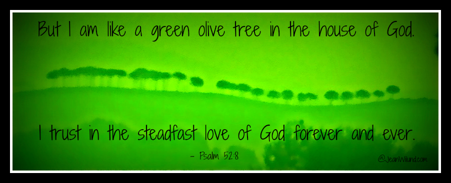 Psalm 52:6 - But I am like a green olive tree in the house of God. I trust in the steadfast love of God forever and ever.