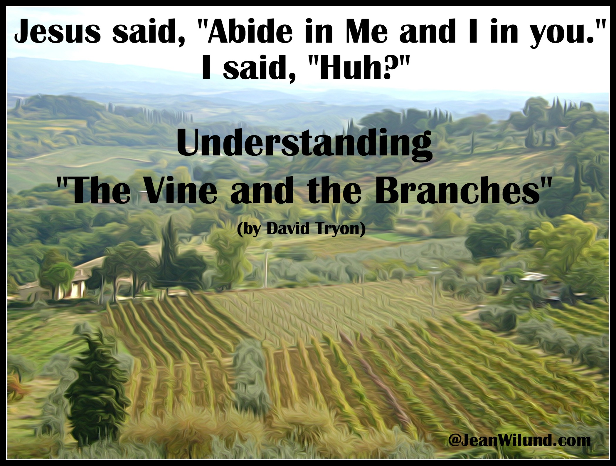 If you've ever wanted to understand Jesus' parable of the Vine and the Branches, you've found the right place. David Tryon explains it well. (www.JeanWilund.com)