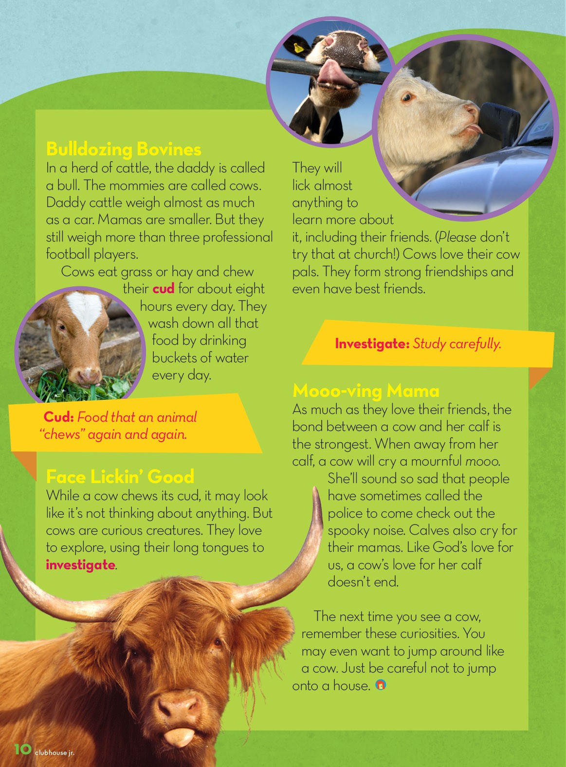 Fun facts about cows for kids "How Now, Mooo Cow?" by Jean Wilund (Clubhouse Jr Magazine)