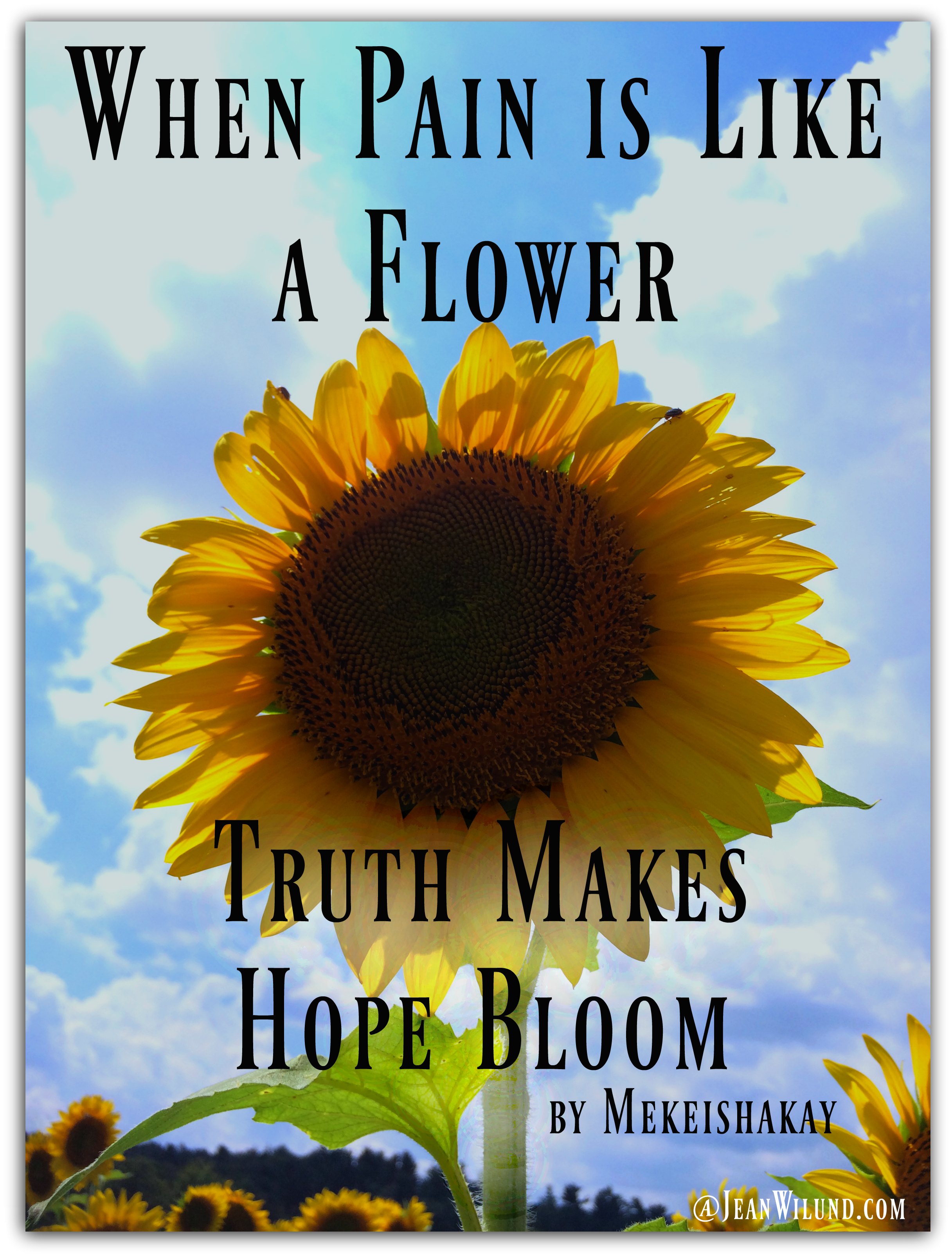 When Pain is Like a Flower, Truth Makes Hope Bloom by Mekeishakay via www.JeanWilund.com