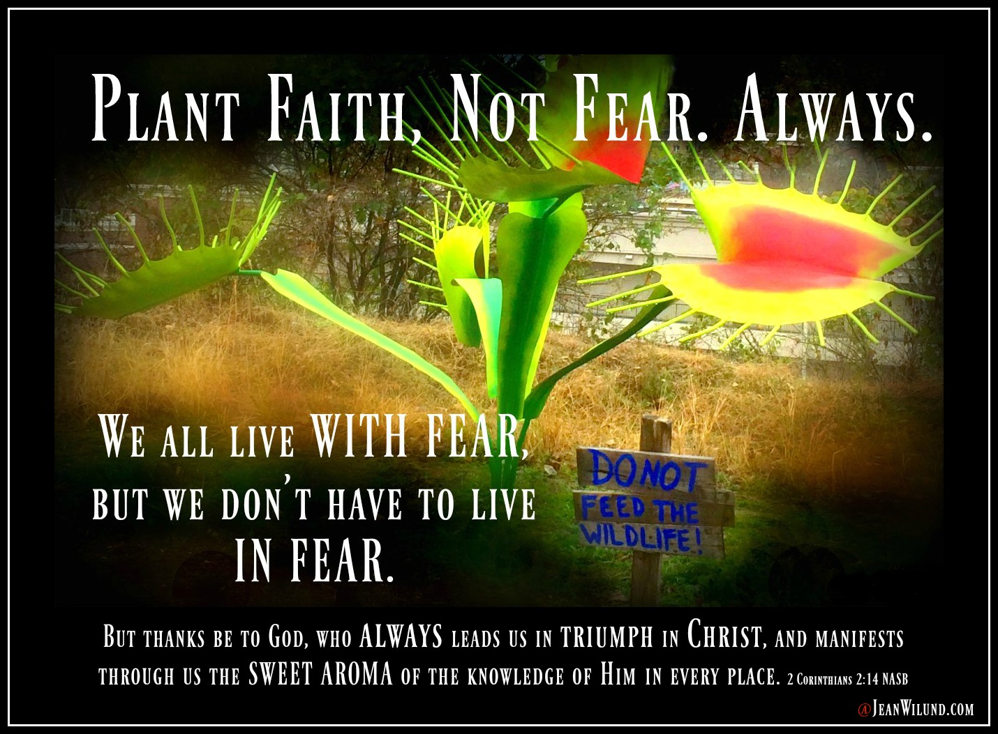 We all have to live WITH fear, but we don't have to live IN fear. Plant Faith, Not Fear. Always. via www.JeanWilund.com