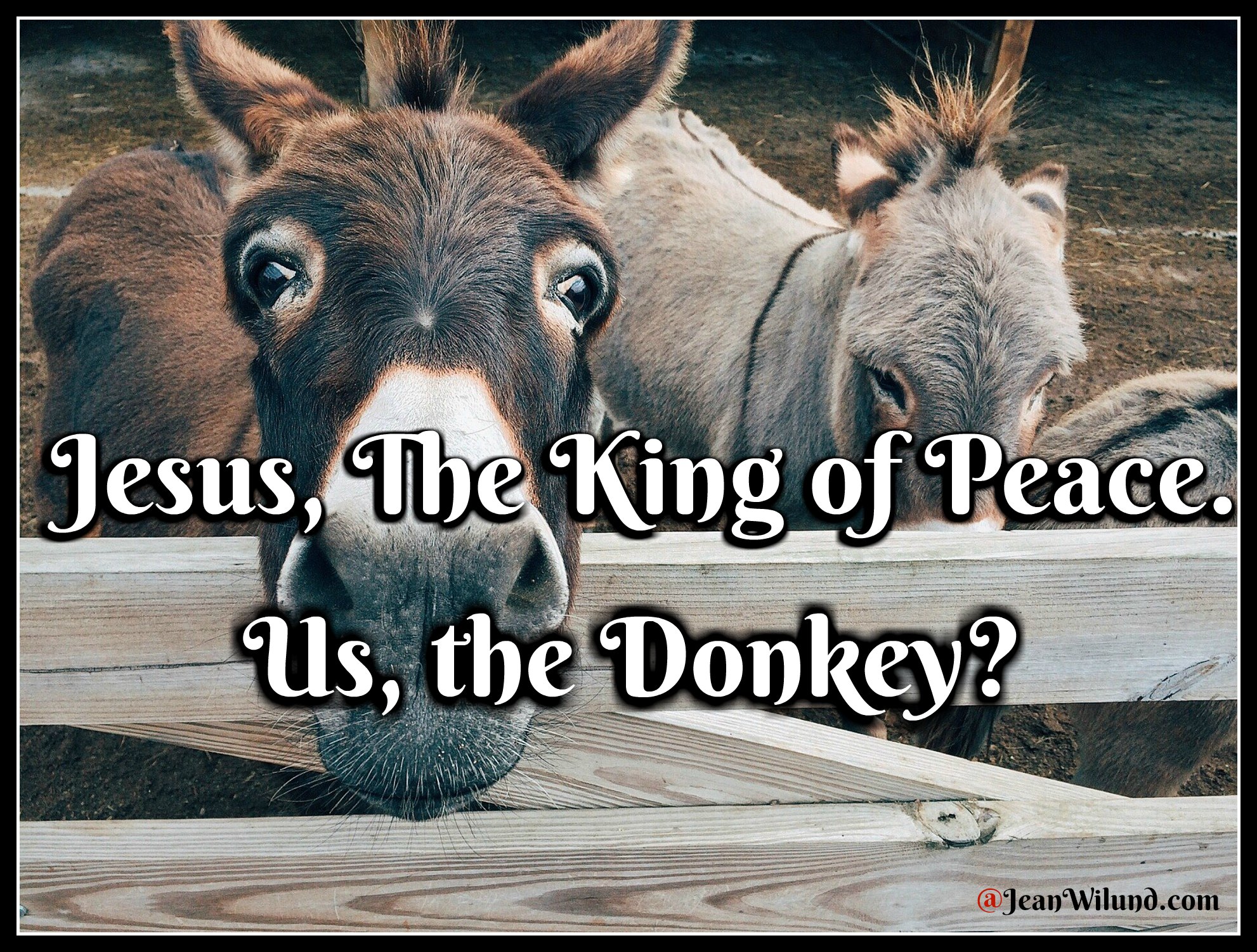Easter ~ Jesus, the King of Peace. Us, the Donkey? Lessons from Christ at Easter (via @JeanWilund.com)
