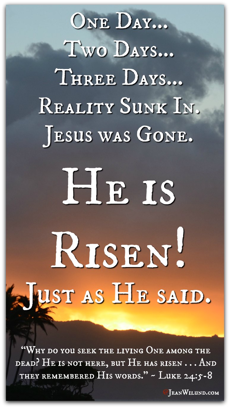 He is Risen Just as He Said! (Music Video Arise My Love by Newsong) via www.JeanWilund.com