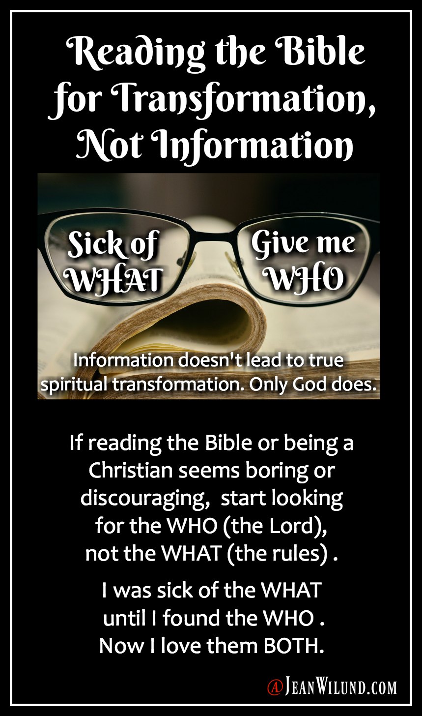 Reading the Bible seem boring or discouraging? Start looking for the WHO (the Lord), not the WHAT (the rules). I was sick of the WHAT until I found the WHO. Reading the Bible for Transformation, Not Information via www.jeanwilund.com