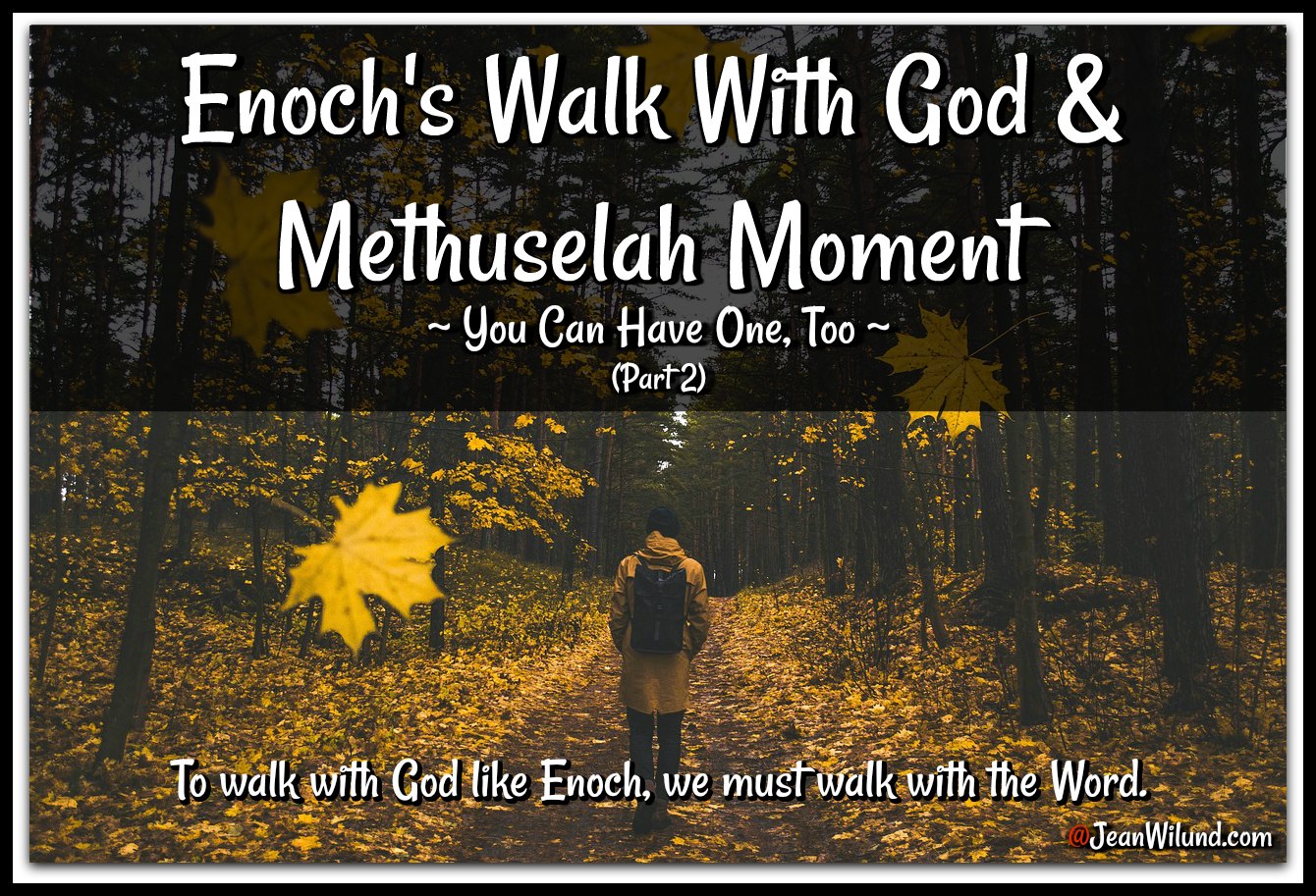 Enoch walked with God & had a Methuselah Moment (You Can, Too) Part 2 via www.JeanWilund.com
