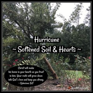 Hurricane Softened Soil & Hearts — When a Hurricane actually did something good. www.jeanwilund.com