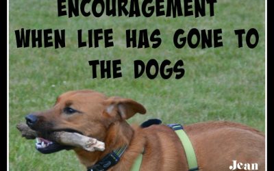 Need Encouragement When Life Has Gone to the Dogs? Visit Me at “Inspire A Fire” Today