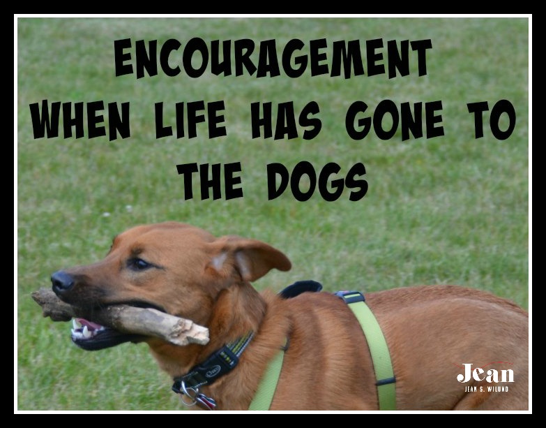 Need Encouragement When Life Has Gone to the Dogs? Visit Me at “Inspire A Fire” Today