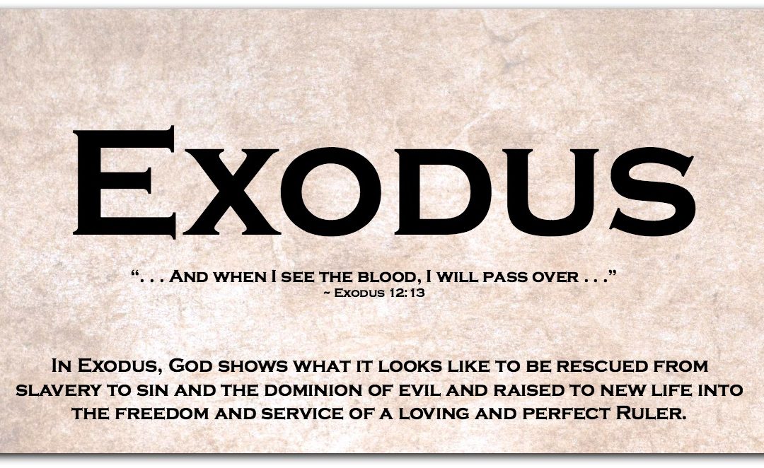 EXODUS ~ A Super-Short Summary (and a Less-Than-Super-Short Summary)