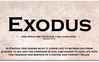 EXODUS ~ A Super-Short Summary (and a Less-Than-Super-Short Summary)