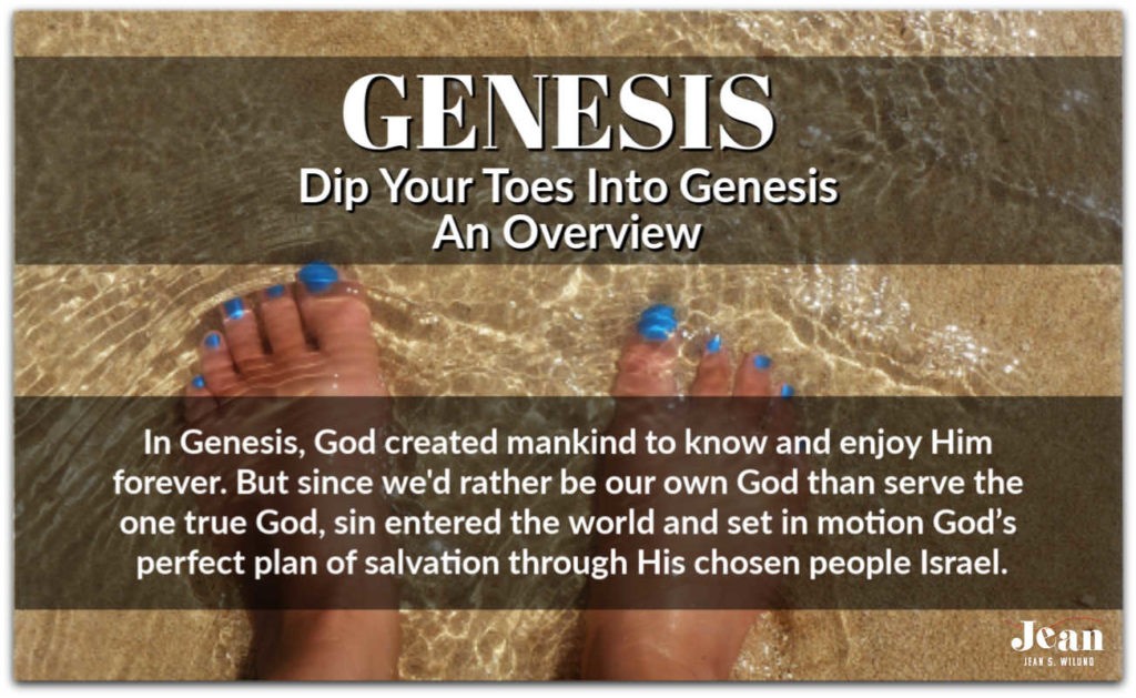 In Genesis, God created mankind to know and enjoy Him forever. But since we’d rather be our own God than serve the one true God, sin entered the world and set in motion God’s perfect plan of salvation through His chosen people Israel. (JeanWilund.com)