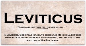 LEVITICUS - Dipping our toes into Leviticus. A Super-Short Summary and Less-Than-Super-Short Summary (Welcome to the Bible series) via www.JeanWilund.com