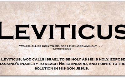 LEVITICUS ~ A Super-Short Summary (and a Less-Than-Super-Short Summary)