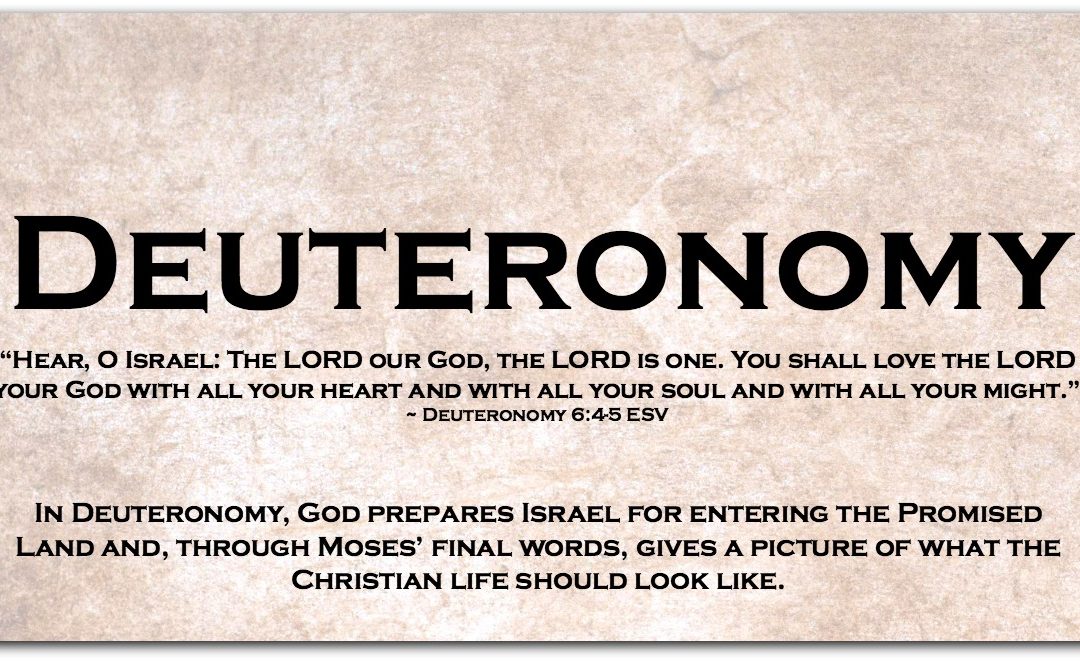 DEUTERONOMY ~ Dipping Our Toes into the Book of Deuteronomy