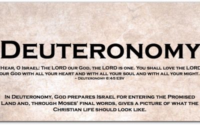 DEUTERONOMY ~ Dipping Our Toes into the Book of Deuteronomy