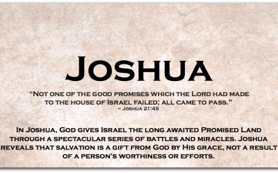 JOSHUA ~ Dipping Our Toes into the Book of Joshua