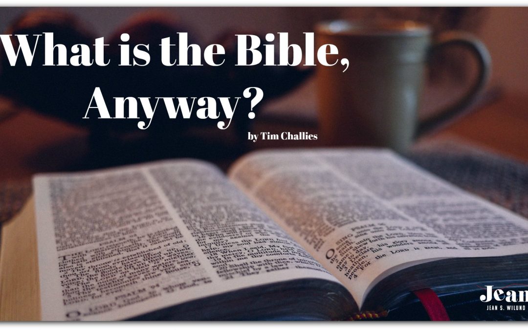 What is the Bible, Anyway? (by Tim Challies)