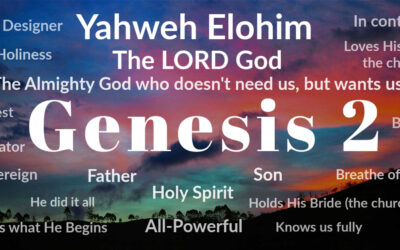 Genesis 2: Discover the God Who Doesn’t Need You But Wants You