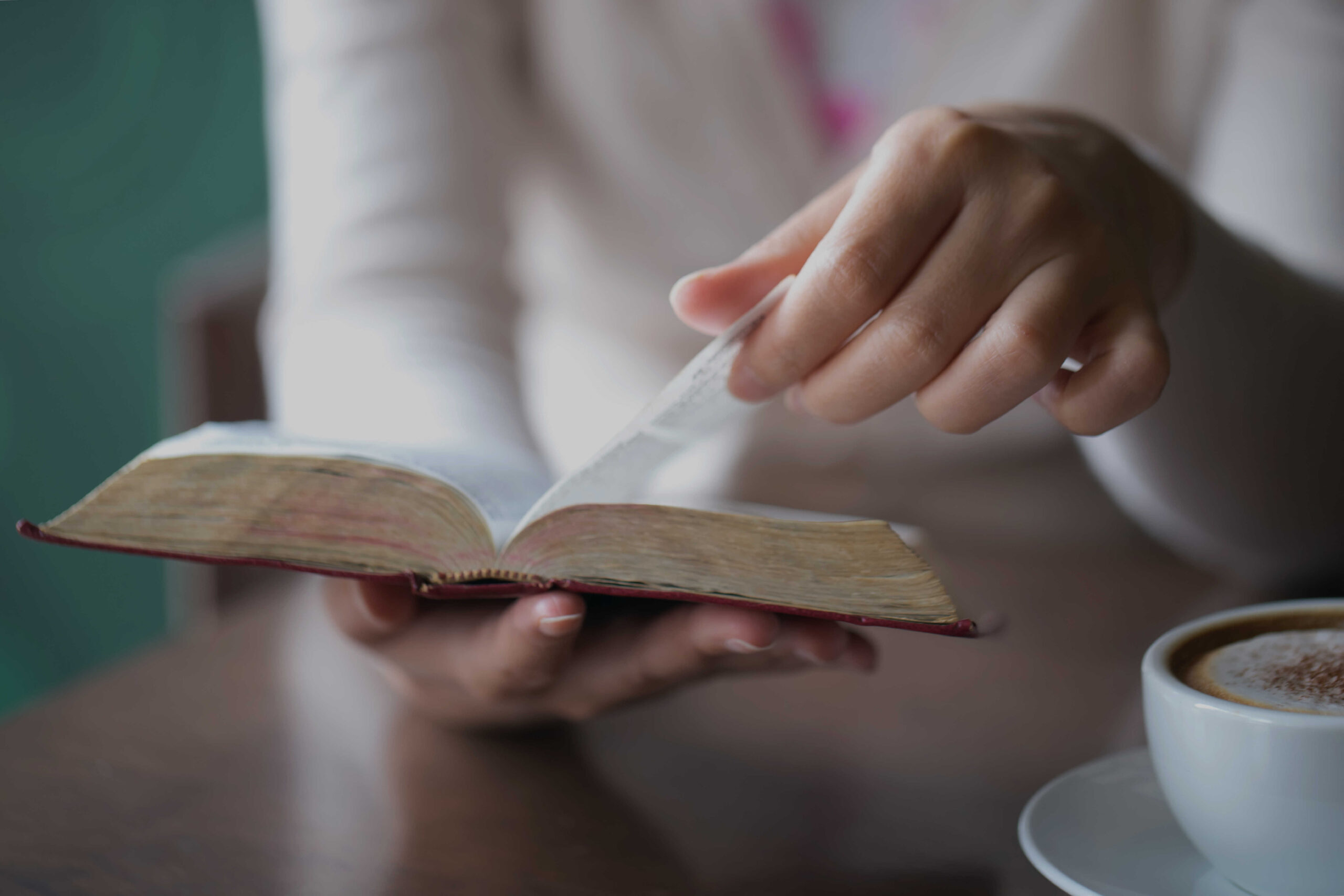 My New Favorite Bible Reading Plan